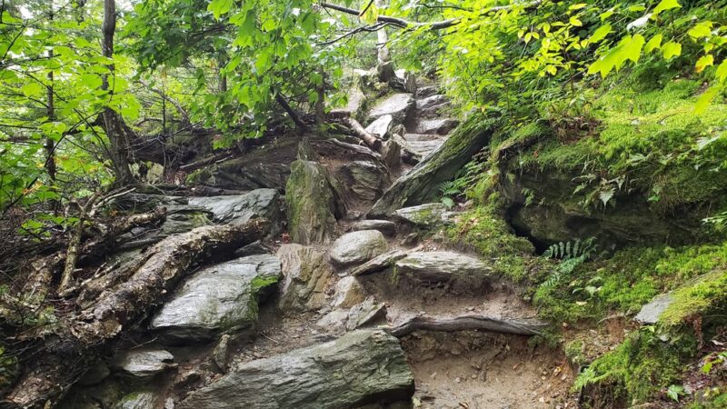 Sterling Pond Trail - Stowe, VT