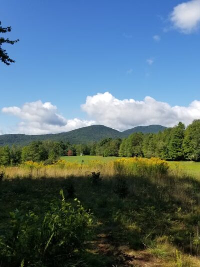 Wiessner Woods - Stowe, VT