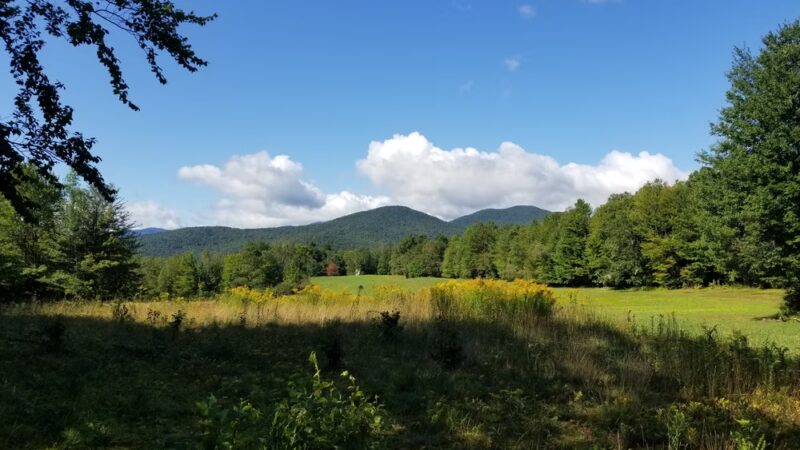 Wiessner Woods - Stowe, VT