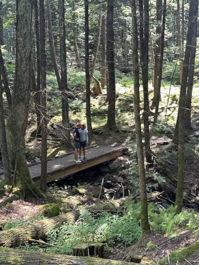 Wiessner Woods - Stowe, VT