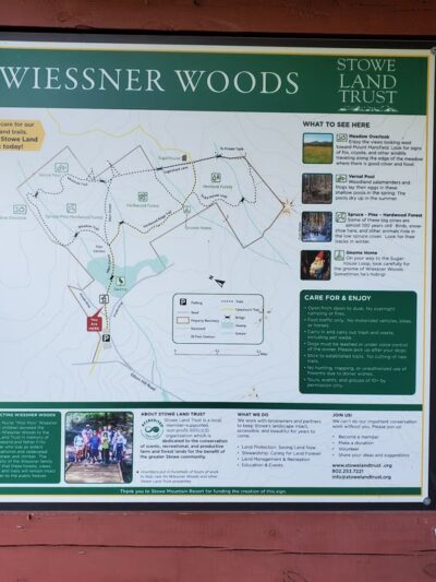 Wiessner Woods - Stowe, VT