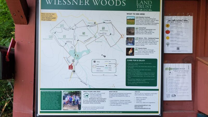 Wiessner Woods - Stowe, VT