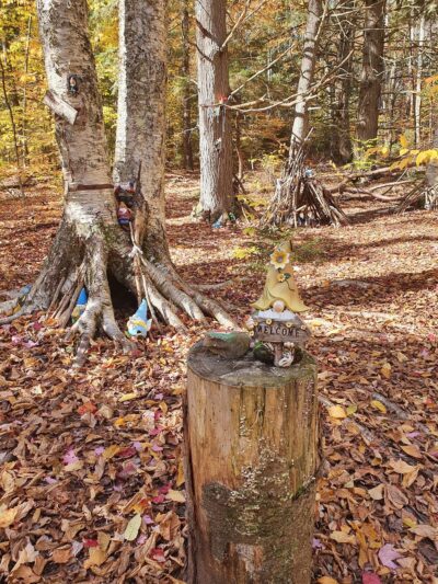 Wiessner Woods - Stowe, VT