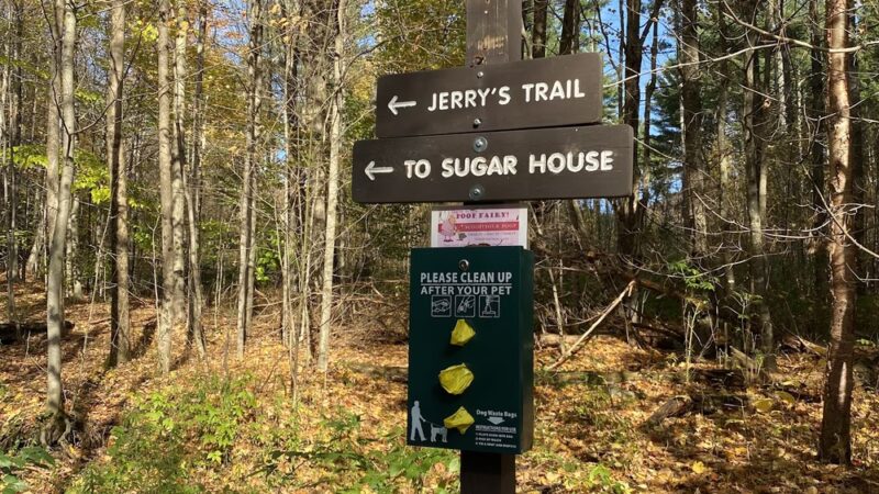Kirchner Woods - Stowe, VT