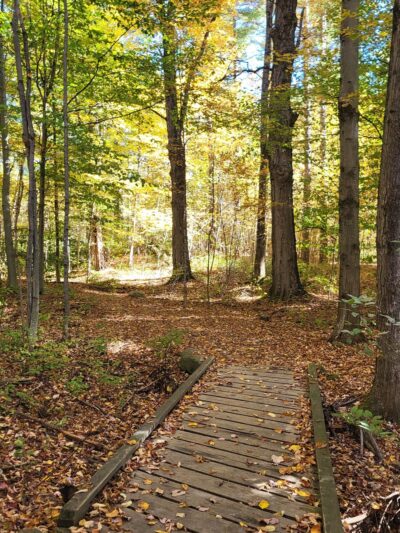 Kirchner Woods - Stowe, VT