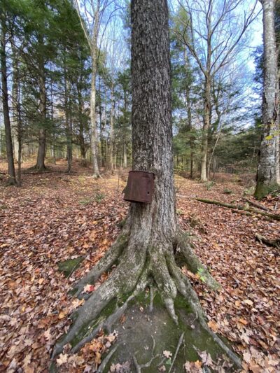 Kirchner Woods - Stowe, VT