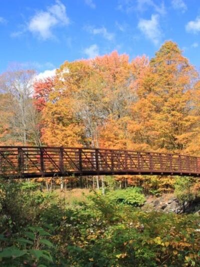 Stowe Recreation Path - Stowe, VT