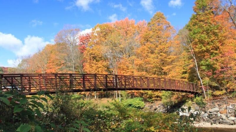 Stowe Recreation Path - Stowe, VT