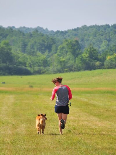 Red Pointy Dog Training - Strafford, NH