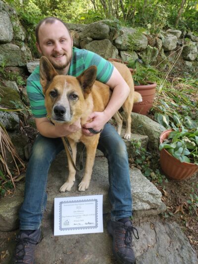 Red Pointy Dog Training - Strafford, NH