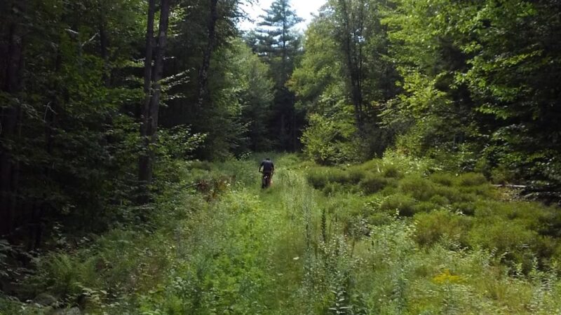Strafford Town Forest - Strafford, NH