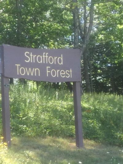 Strafford Town Forest - Strafford, NH