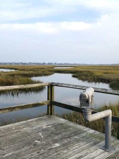 Long Beach Stratford Connecticut - Stratford, CT