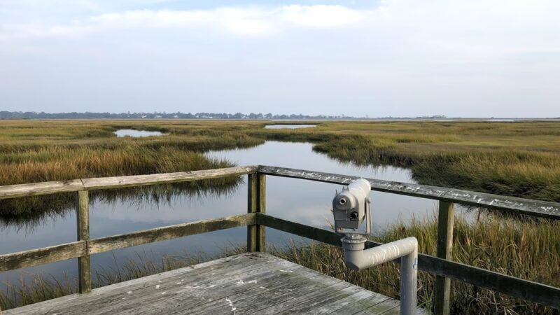Long Beach Stratford Connecticut - Stratford, CT