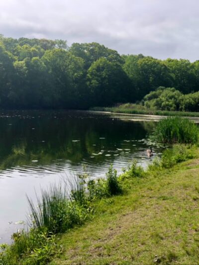 Wooster Park - Stratford, CT