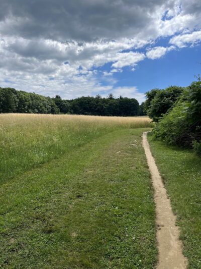 Gordon Barker Town Forest - Stratham, NH