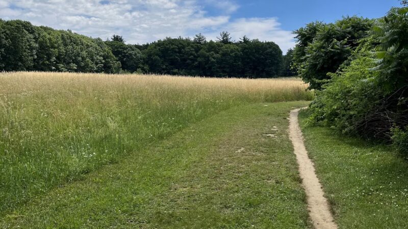Gordon Barker Town Forest - Stratham, NH
