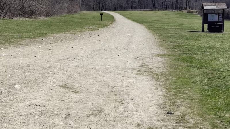Gordon Barker Town Forest - Stratham, NH