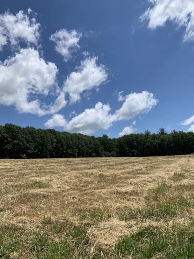 Gordon Barker Town Forest - Stratham, NH