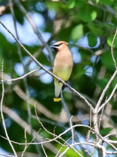 Long Hill Trailhead - Stratham, NH