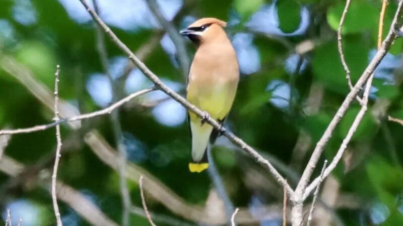 Long Hill Trailhead - Stratham, NH