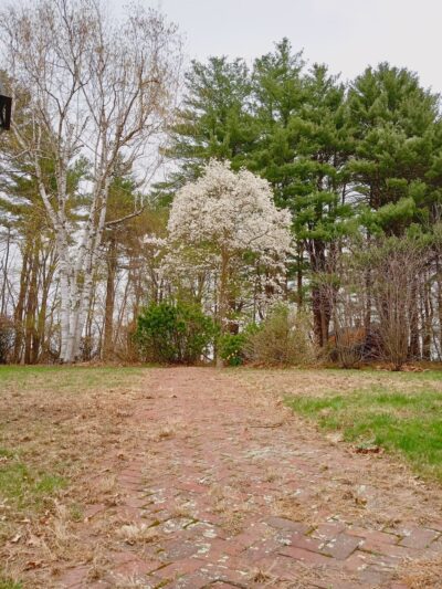 Smyk Park - Stratham, NH