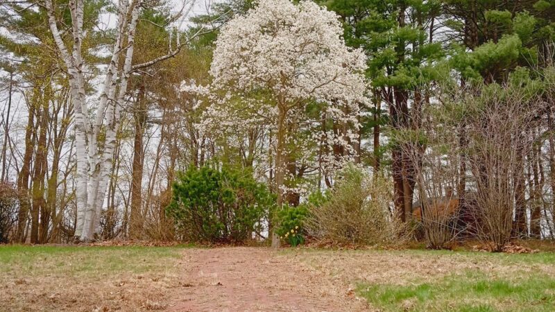 Smyk Park - Stratham, NH