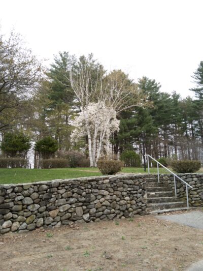 Smyk Park - Stratham, NH