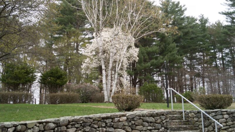 Smyk Park - Stratham, NH