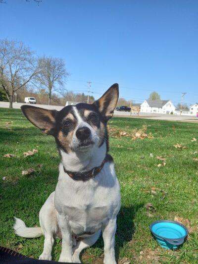 Smyk Park - Stratham, NH