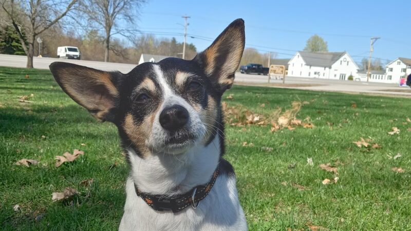 Smyk Park - Stratham, NH