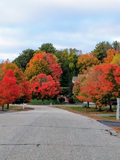 Stevens Park - Stratham, NH