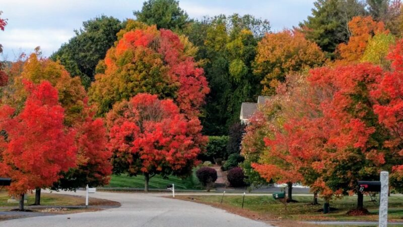Stevens Park - Stratham, NH