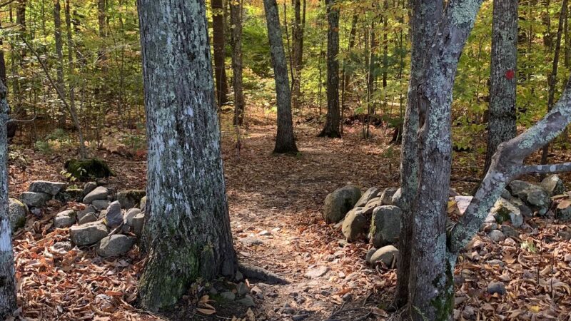 Stratham Hill Park - Stratham, NH