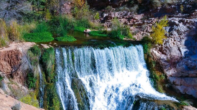 Bob Bear Trailhead - Strawberry, AZ