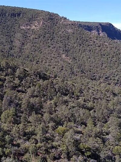 Bob Bear Trailhead - Strawberry, AZ