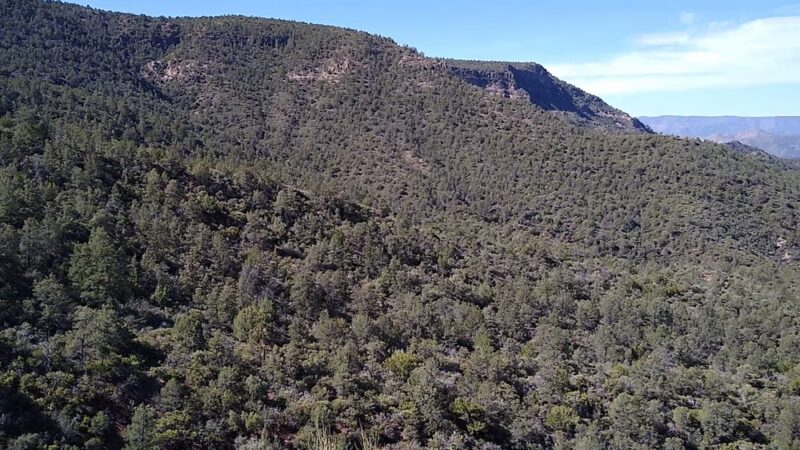 Bob Bear Trailhead - Strawberry, AZ