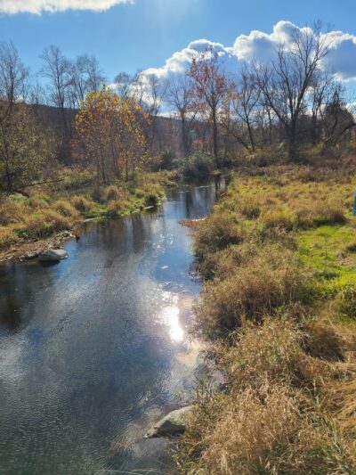 Cherry Valley National Wildlife Refuge (Main Unit) - Stroudsburg, PA