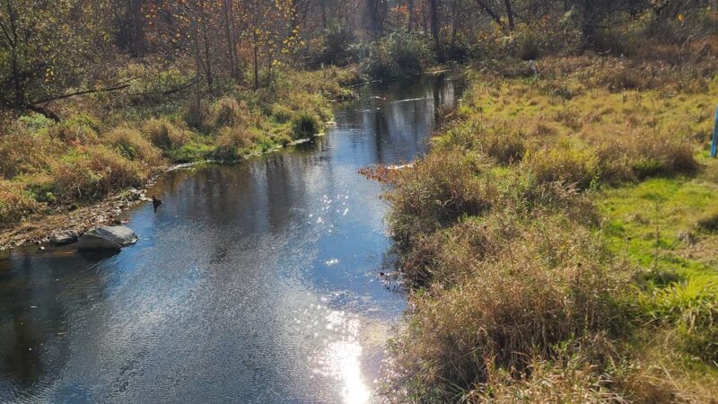 Cherry Valley National Wildlife Refuge (Main Unit) - Stroudsburg, PA