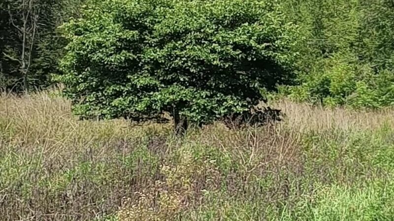 Cherry Valley National Wildlife Refuge (Main Unit) - Stroudsburg, PA