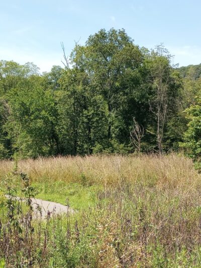 Cherry Valley National Wildlife Refuge (Main Unit) - Stroudsburg, PA