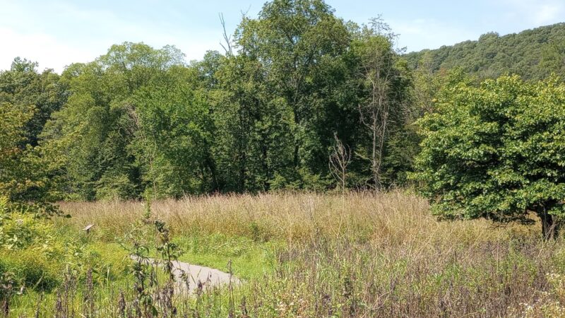 Cherry Valley National Wildlife Refuge (Main Unit) - Stroudsburg, PA