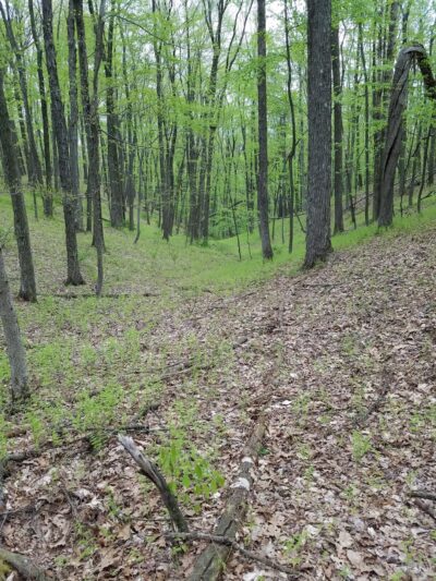 Cherry Valley National Wildlife Refuge (Main Unit) - Stroudsburg, PA
