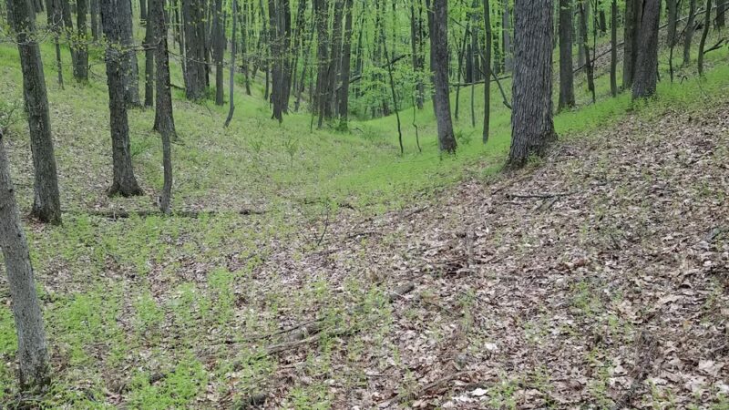 Cherry Valley National Wildlife Refuge (Main Unit) - Stroudsburg, PA