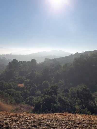 Fryman Canyon - Studio City, CA