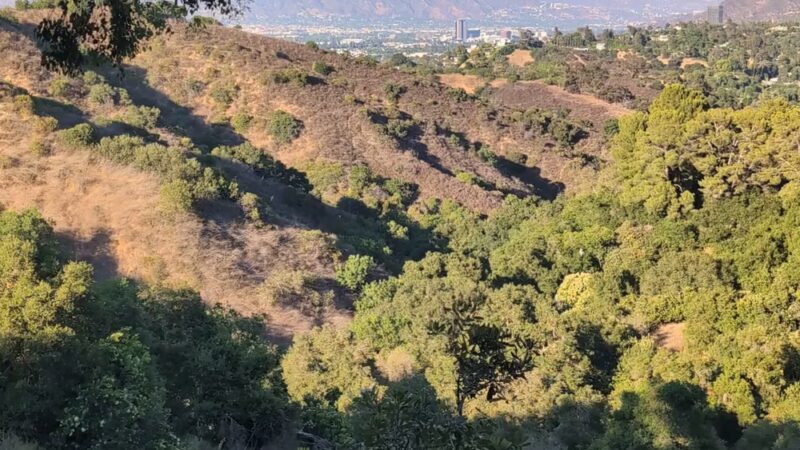 Fryman Canyon - Studio City, CA