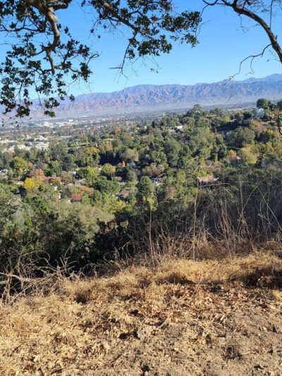 Fryman Canyon - Studio City, CA
