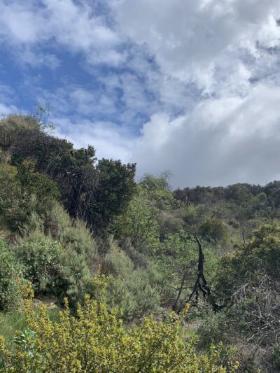 Fryman Trailhead - Studio City, CA
