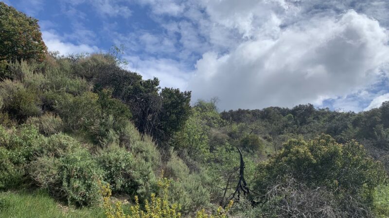 Fryman Trailhead - Studio City, CA