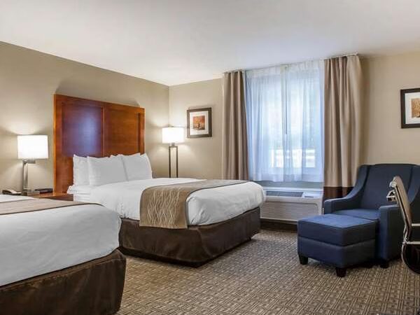 Comfort Inn & Suites Sturbridge-Brimfield - Sturbridge, MA